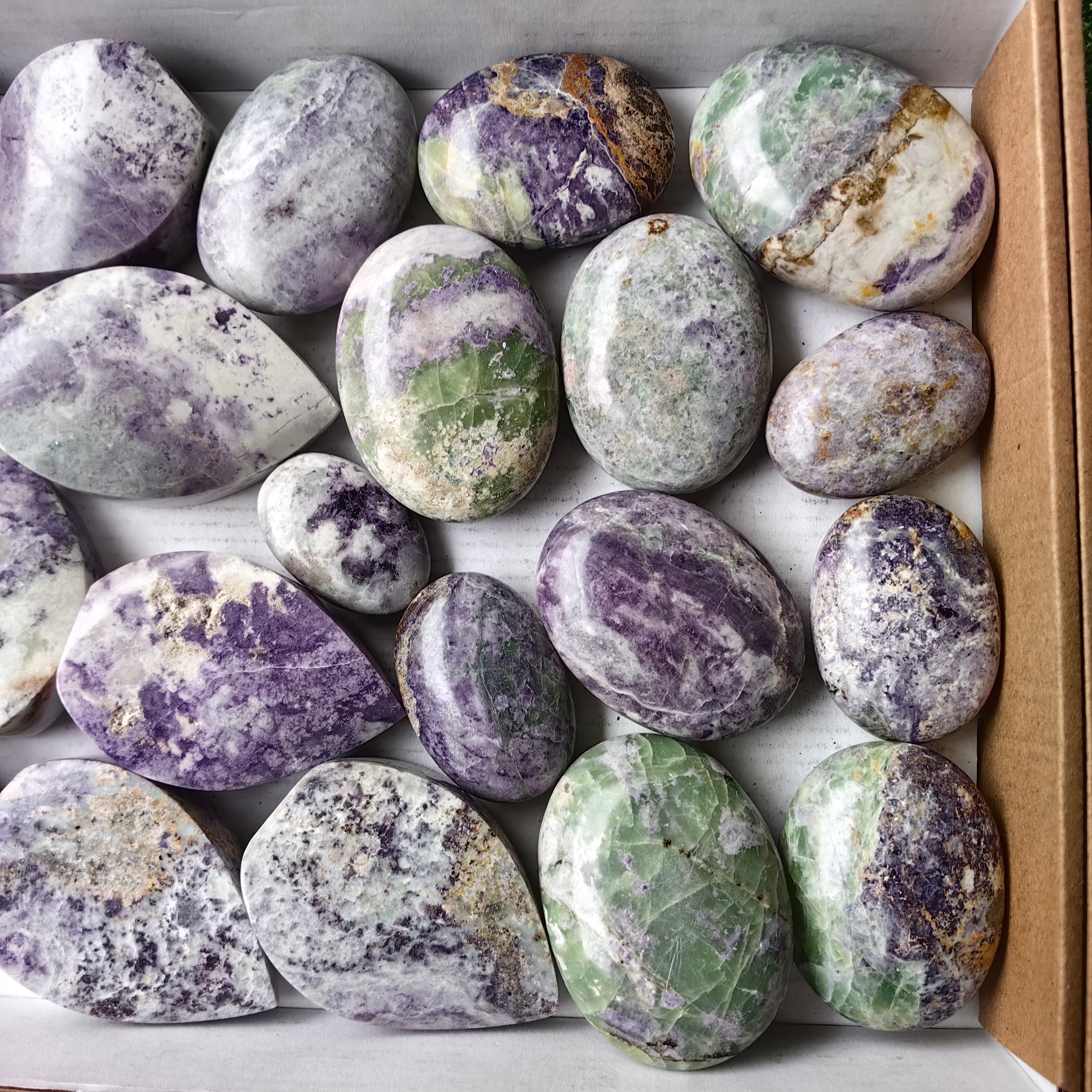 Lot 22 pcs Bolivianite Palm and Flame