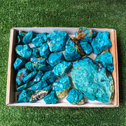 Lot 30 pcs Chrysocolla Rough