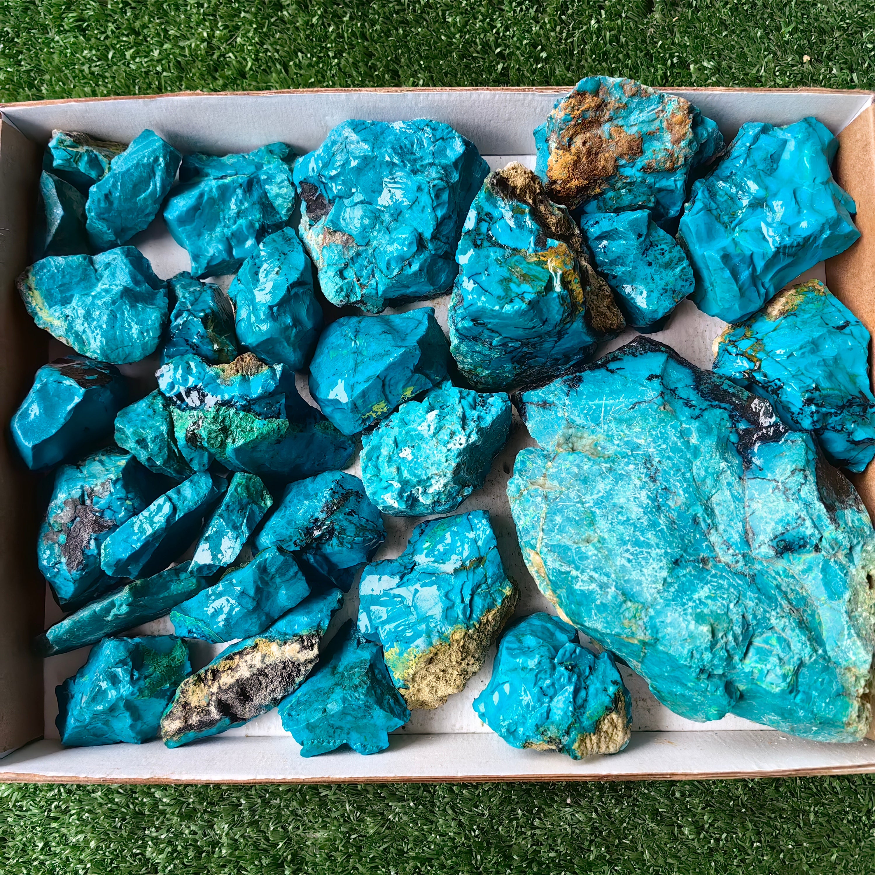Lot 30 pcs Chrysocolla Rough