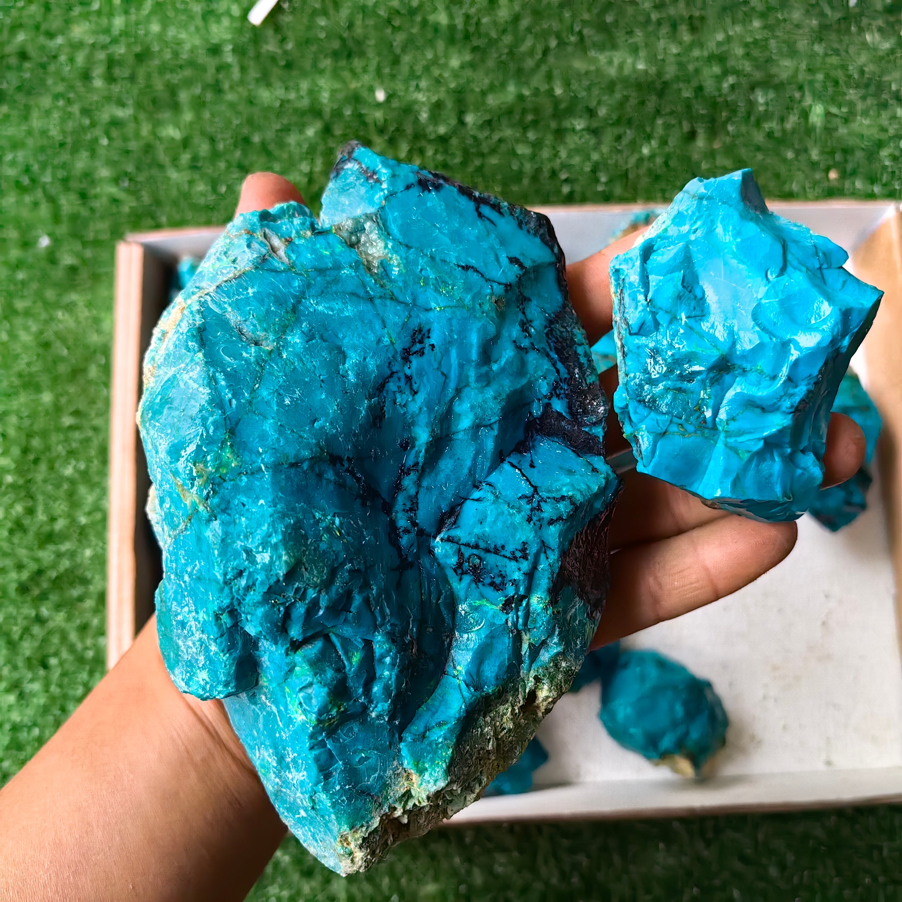 Lot 30 pcs Chrysocolla Rough