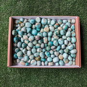 Lot 2 kg Peruvian Turquoise Tumbled