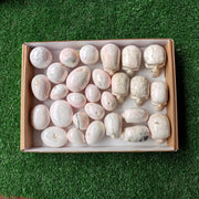 Lot 28 pcs Mangano Free Forms