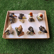Lot 8 pcs Bird mixted stones