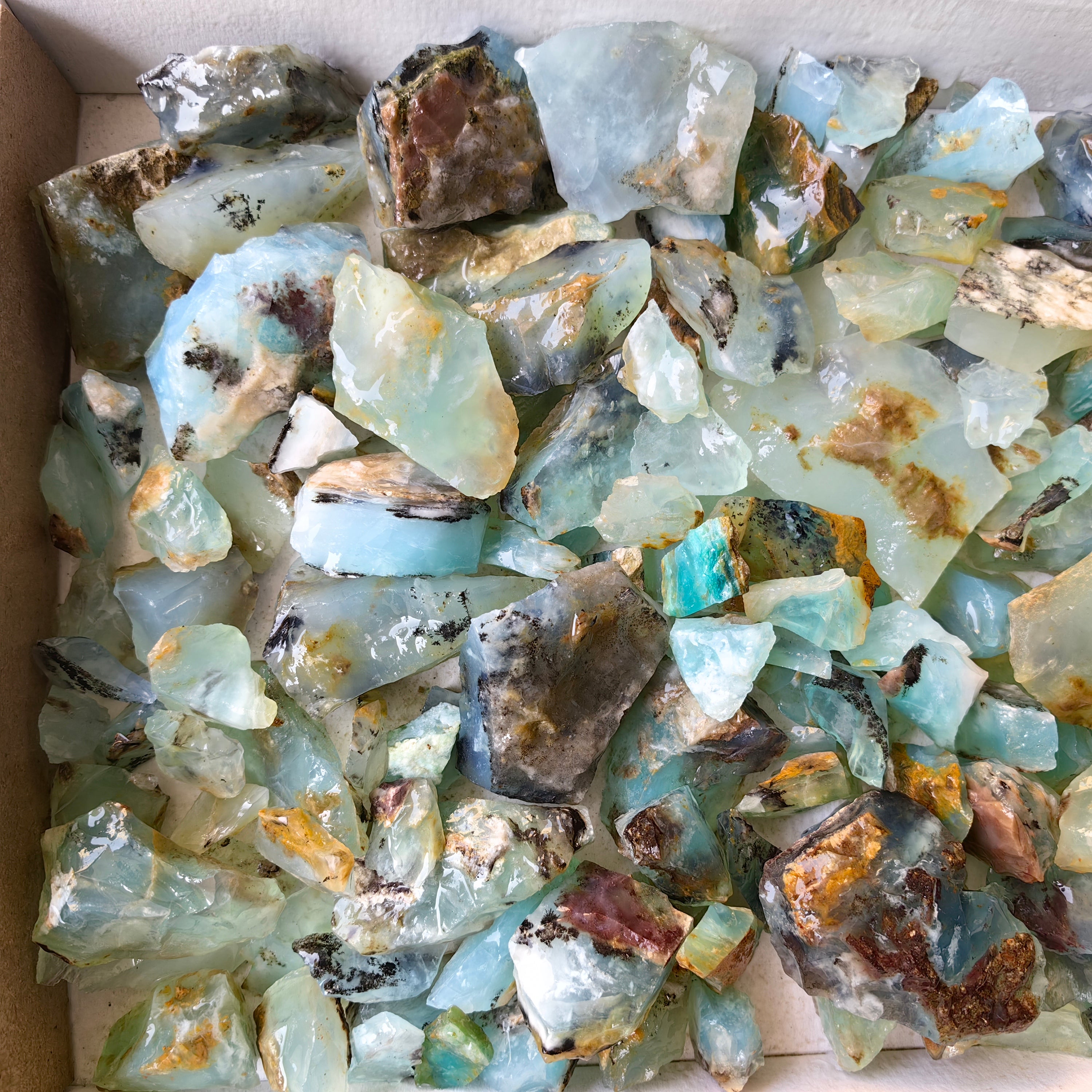 Lot 1.5 kg Andean Opal rough