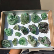 Lot 15 pcs  Green Fluorite Rough