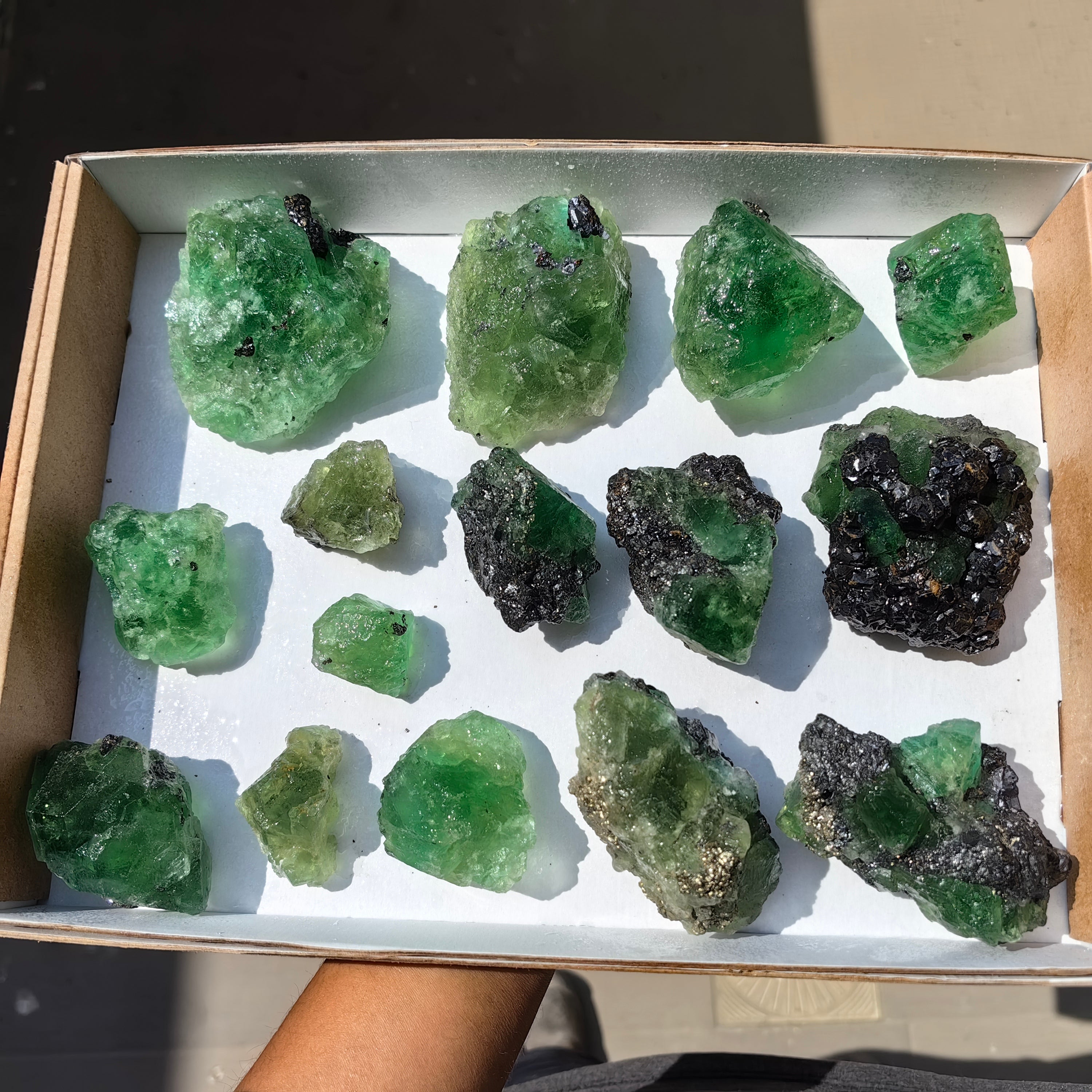 Lot 15 pcs  Green Fluorite Rough