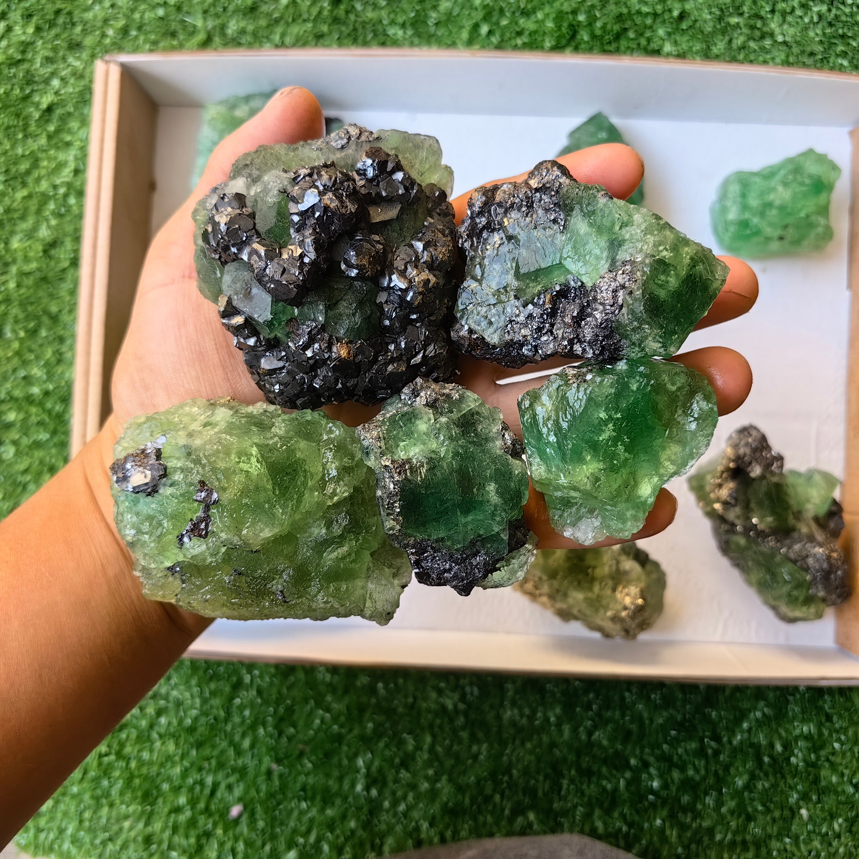 Lot 15 pcs  Green Fluorite Rough