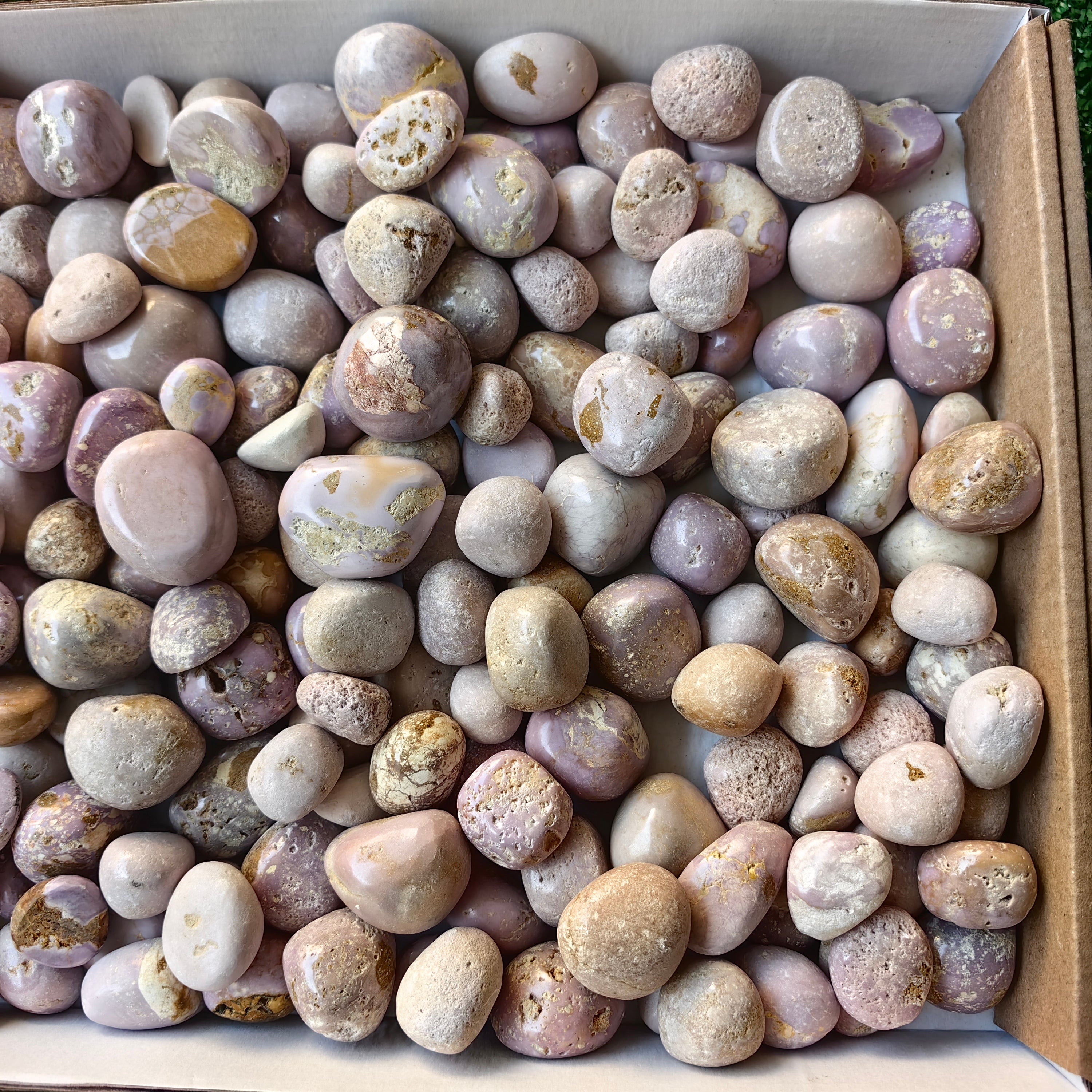 Lot 2.3 kg Phosphosiderite Tumbled