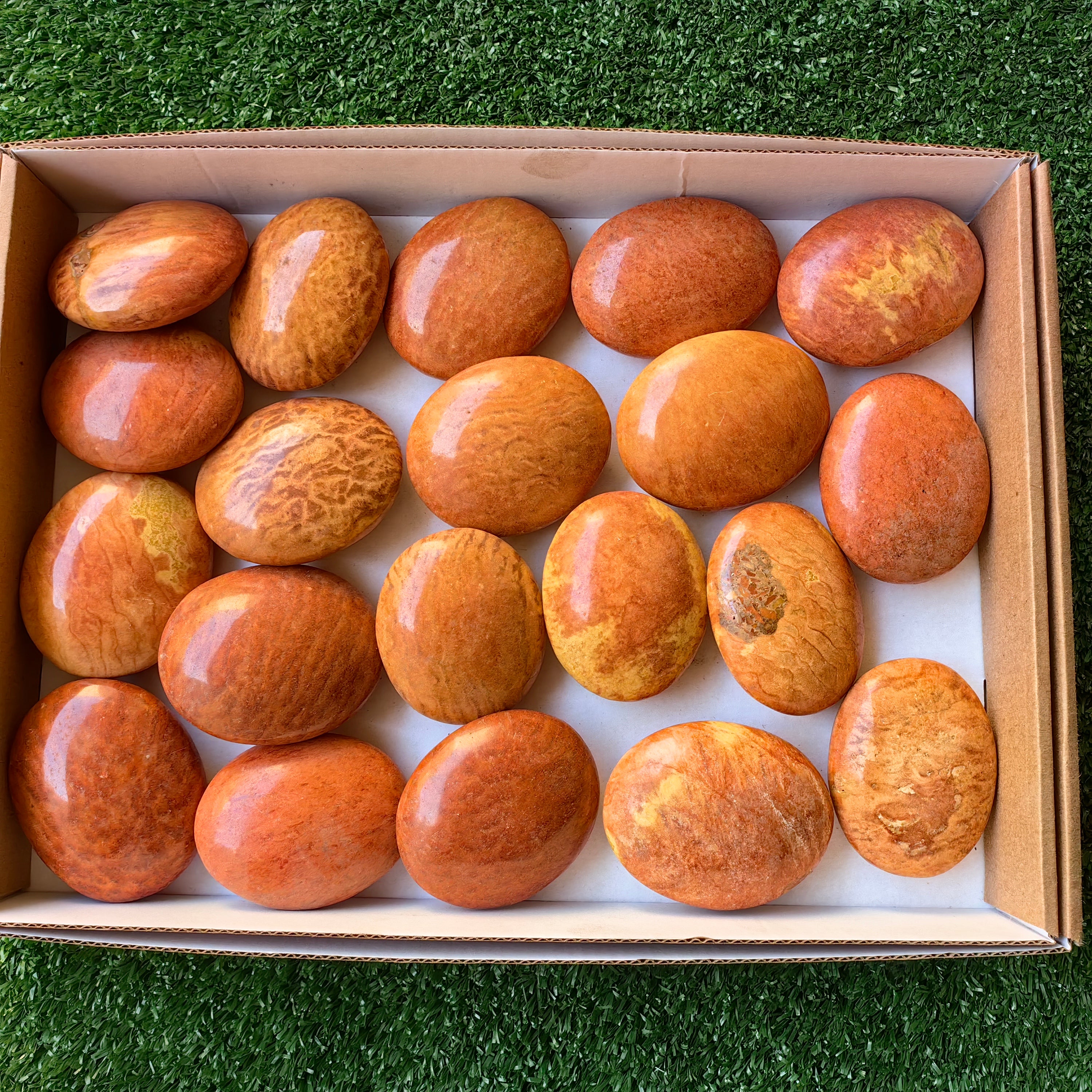 Lot 20 pcs Jaspe Orange Palm