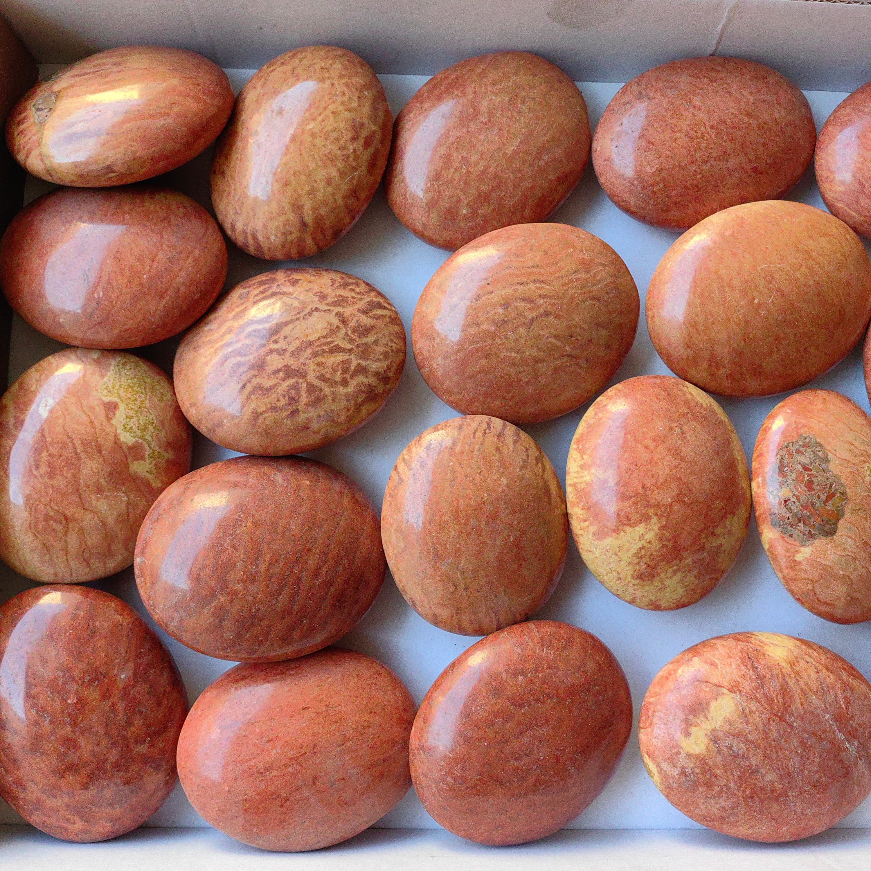 Lot 20 pcs Jaspe Orange Palm