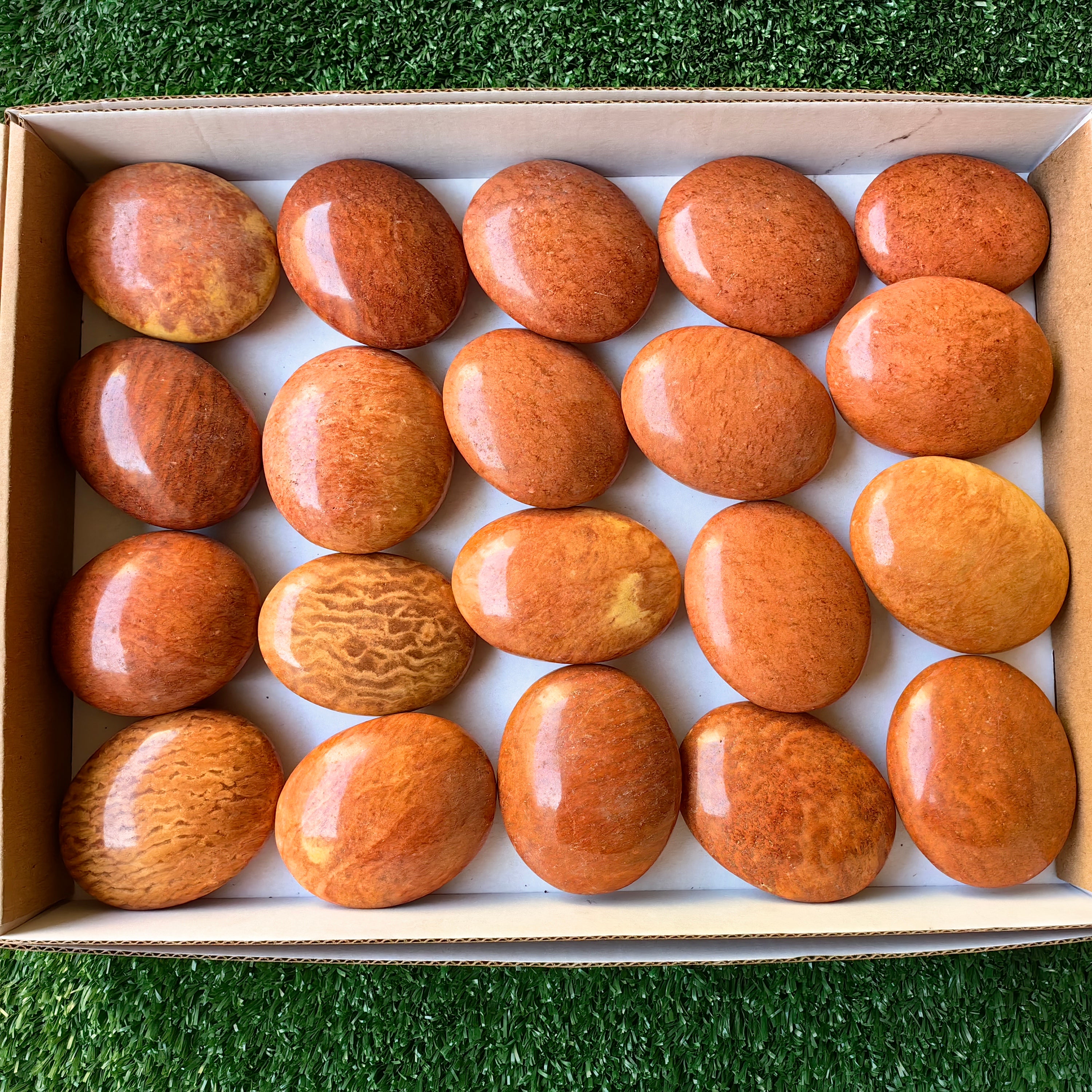 Lot 20 pcs Jaspe Orange Palm