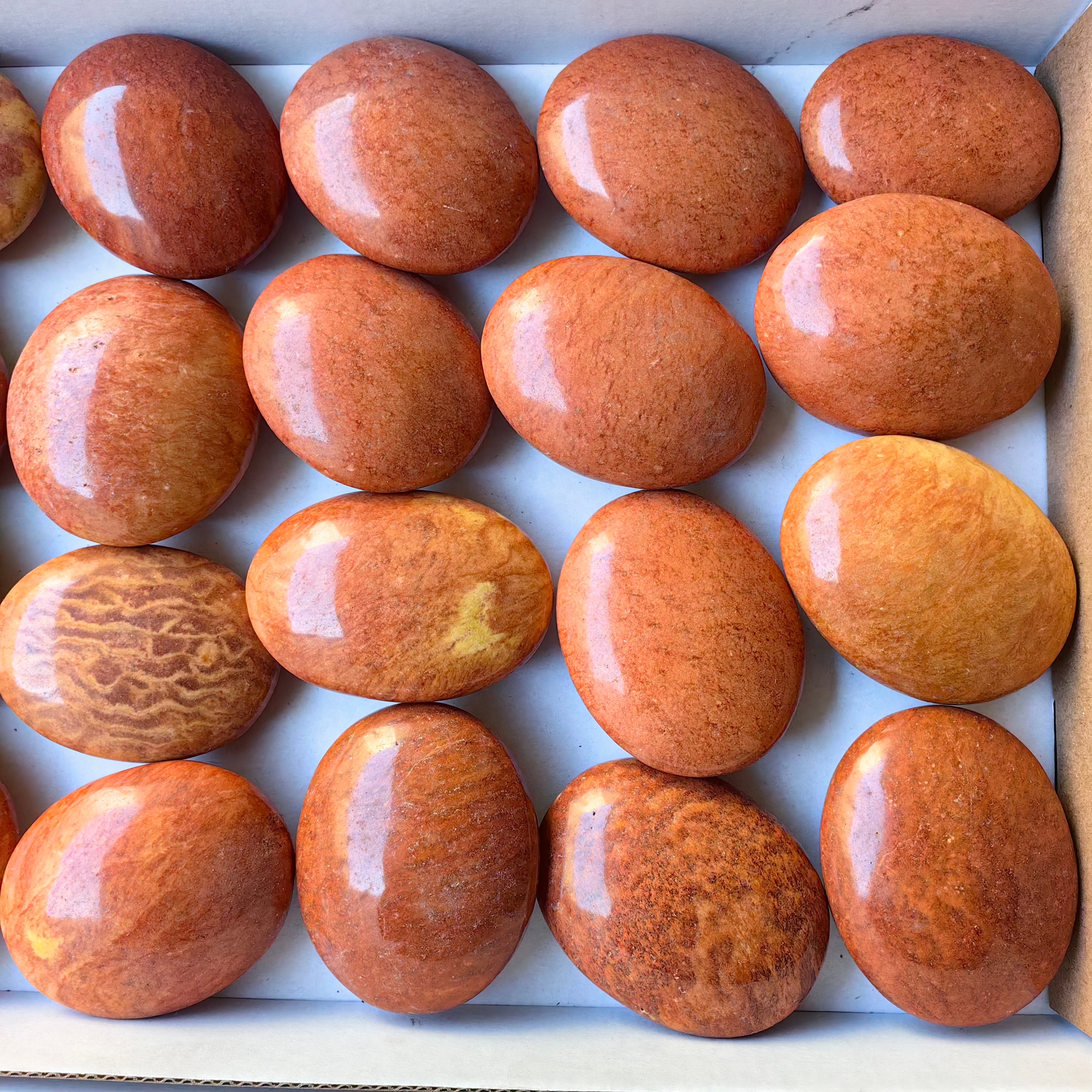 Lot 20 pcs Jaspe Orange Palm