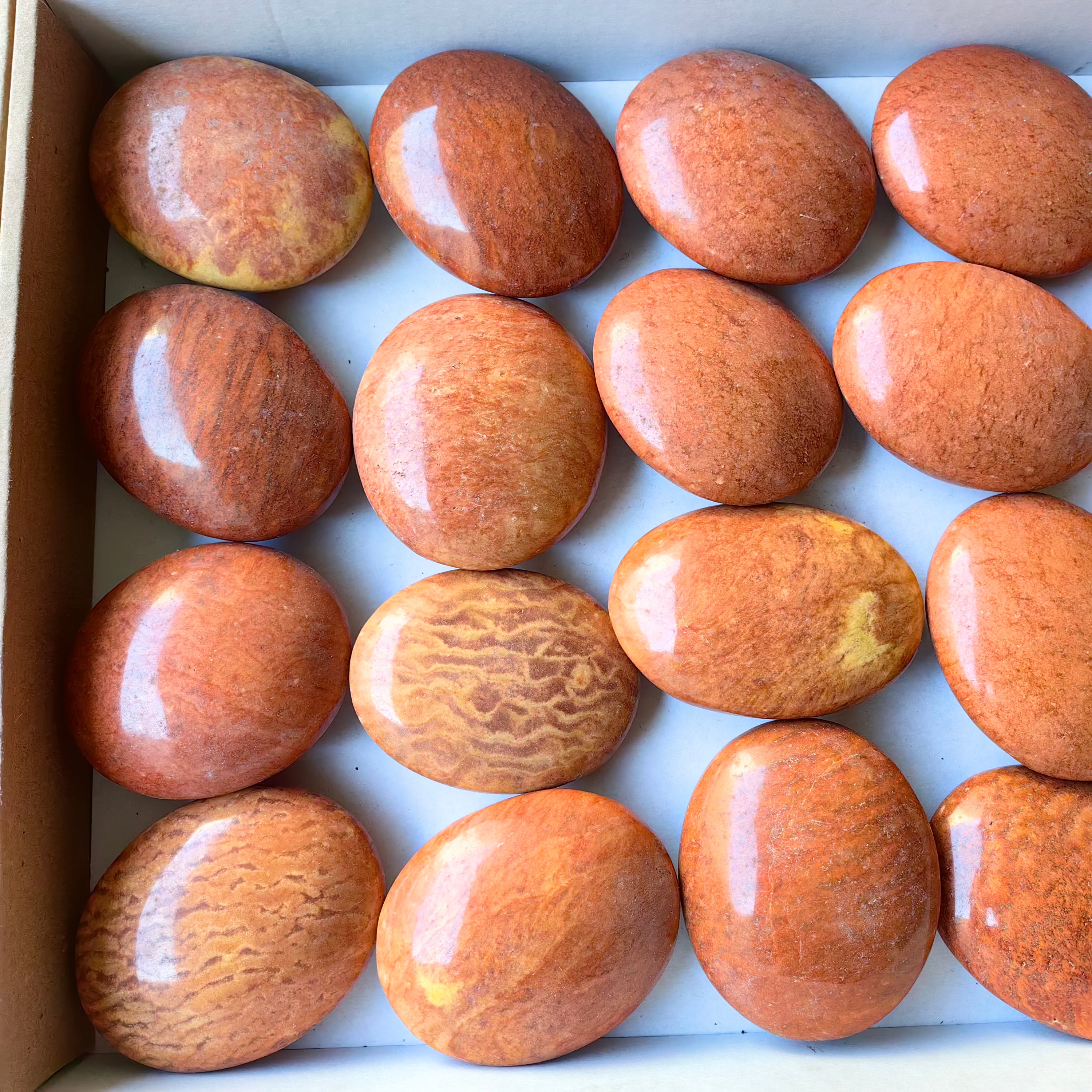 Lot 20 pcs Jaspe Orange Palm