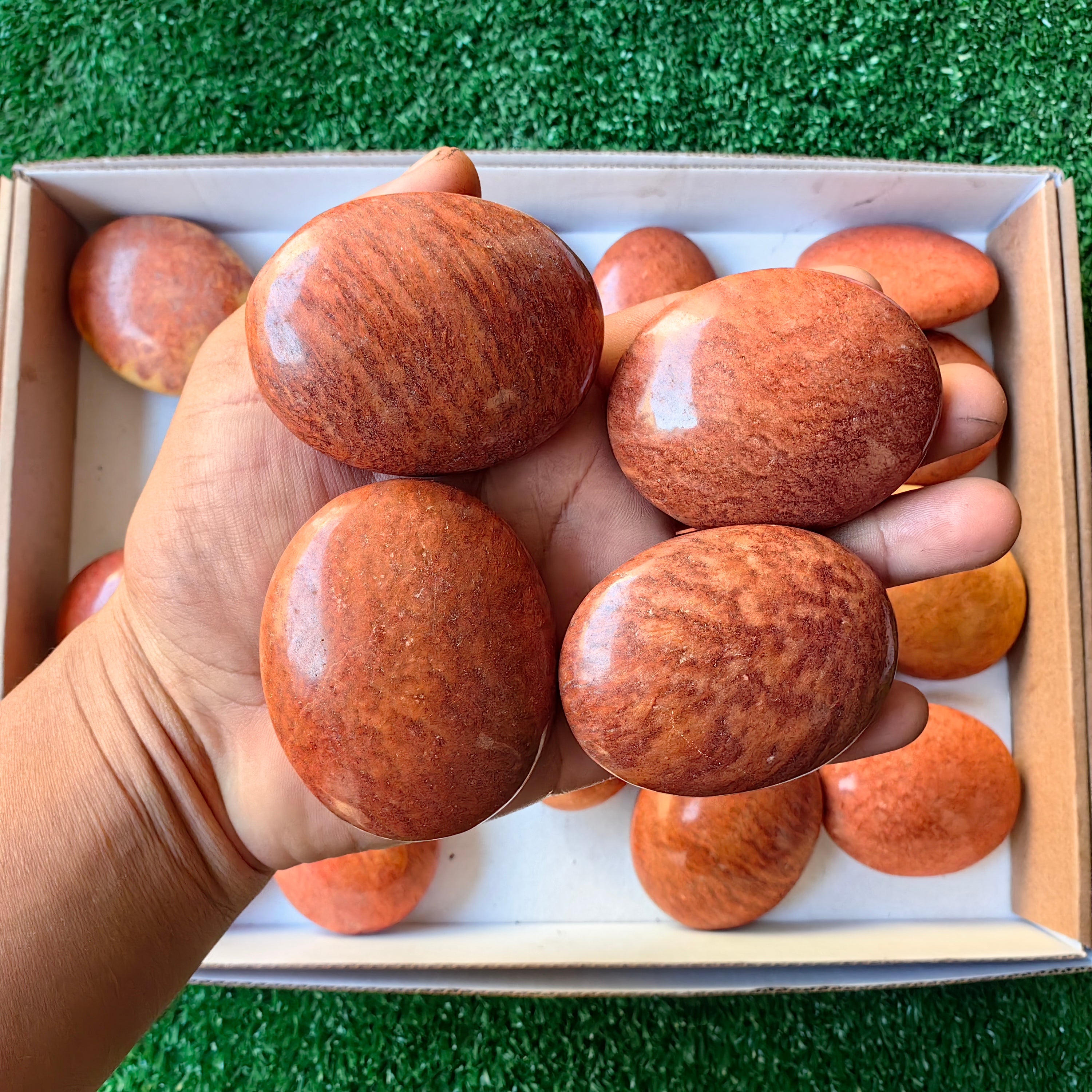 Lot 20 pcs Jaspe Orange Palm