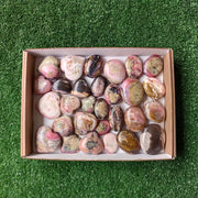 Lot 29 pcs Pink Opal Palm