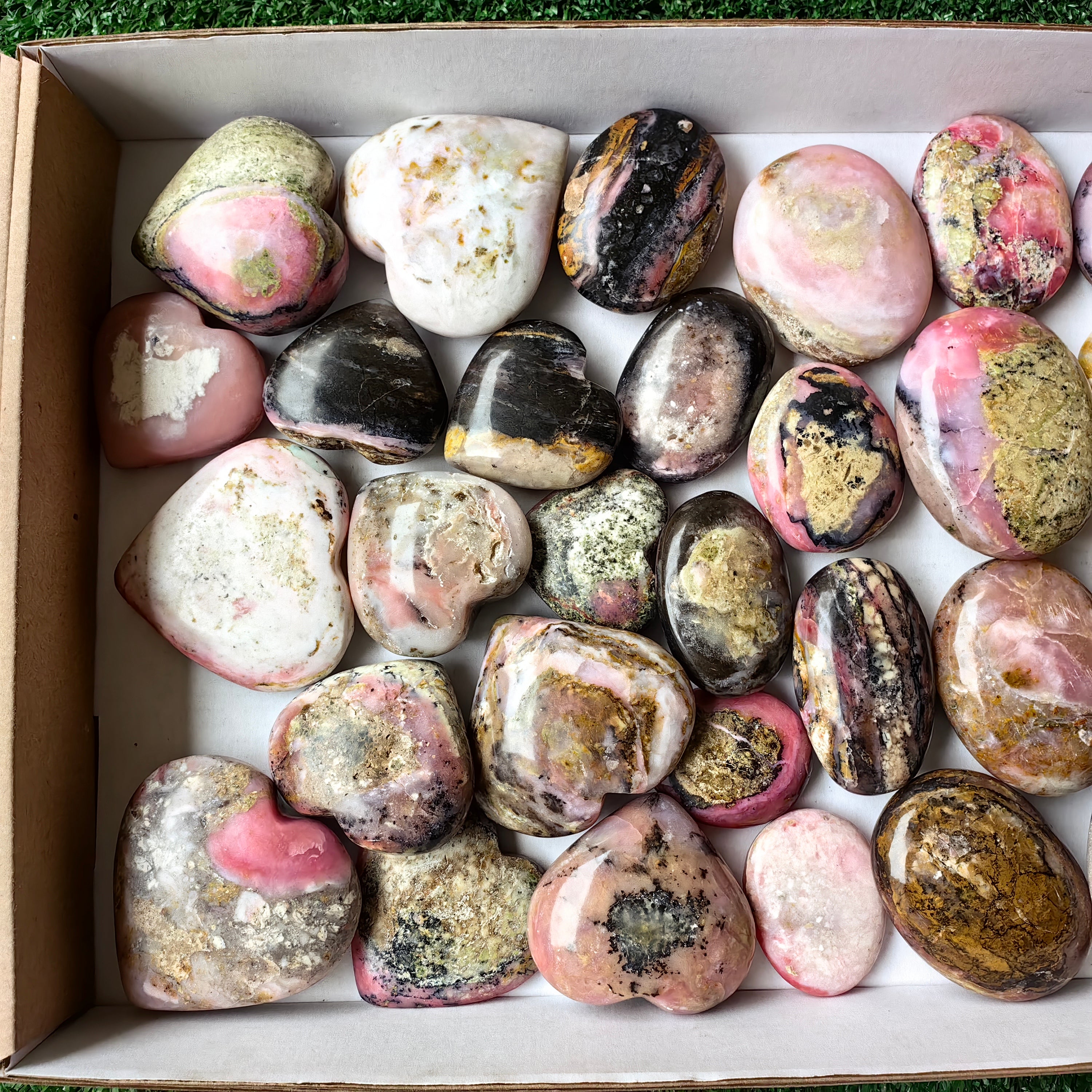 Lot 29 pcs Pink Opal Palm