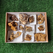 Lot 11 pcs Baryte Crystal