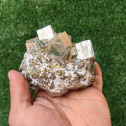 1 pc Pyrite Cubic with Chalcopyrite