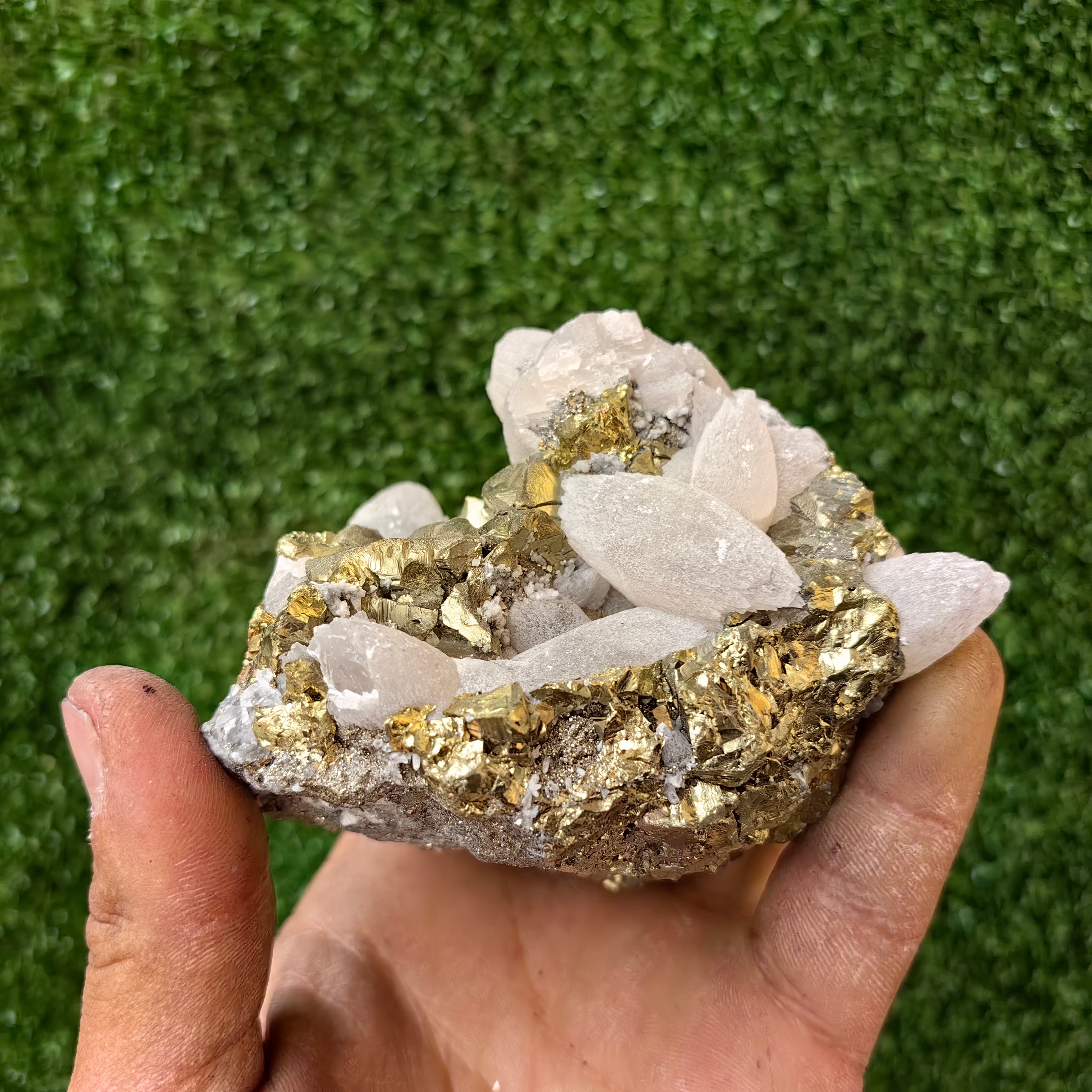 1 pcs Pyrite Cubic with Chalcopyrite and Calcite