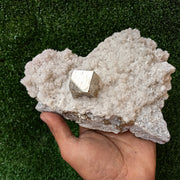 1 pcs Pyrite Cubic with Quartz