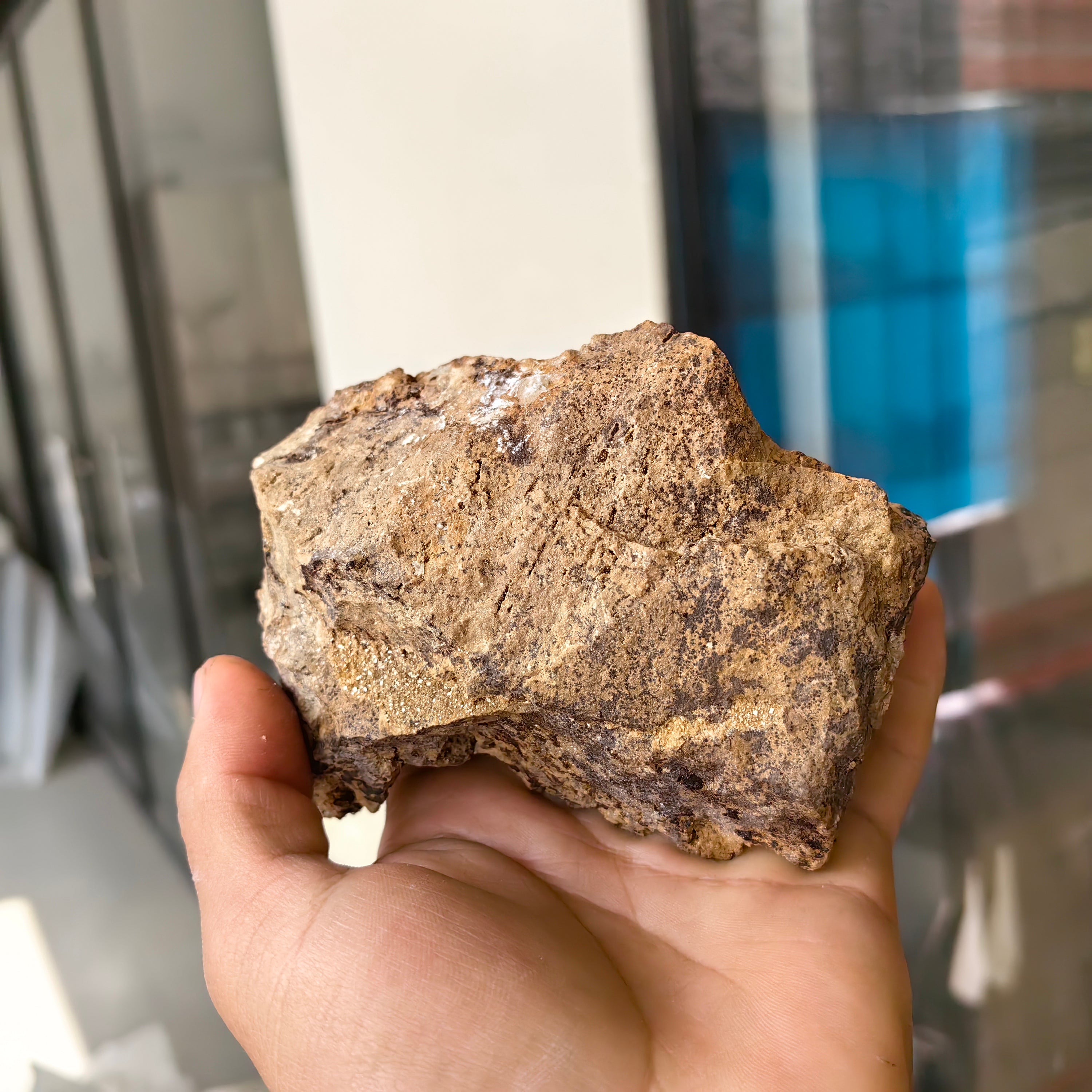 Lot 1 pc Baryte Crystal on matrix