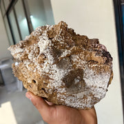 Lot 1 pc Baryte Crystal on matrix