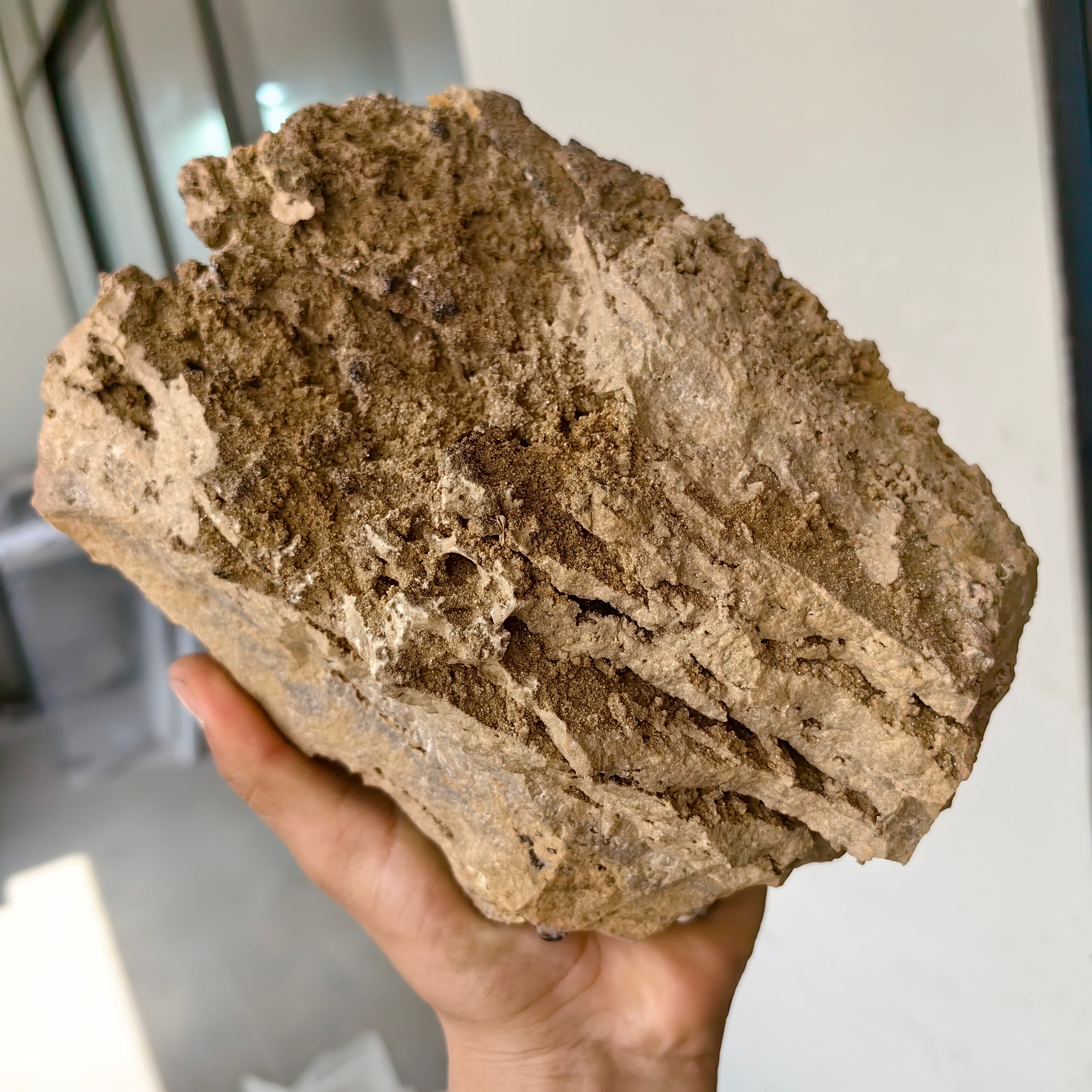 Lot 1 pc Baryte Crystal on matrix