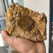 Lot 1 pc Baryte Crystal on matrix