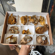 Lot 10 pcs Baryte Crystal on matrix