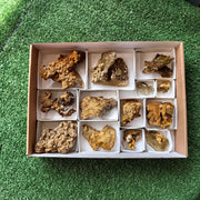 Lot 13 pcs Baryte Crystal on matrix