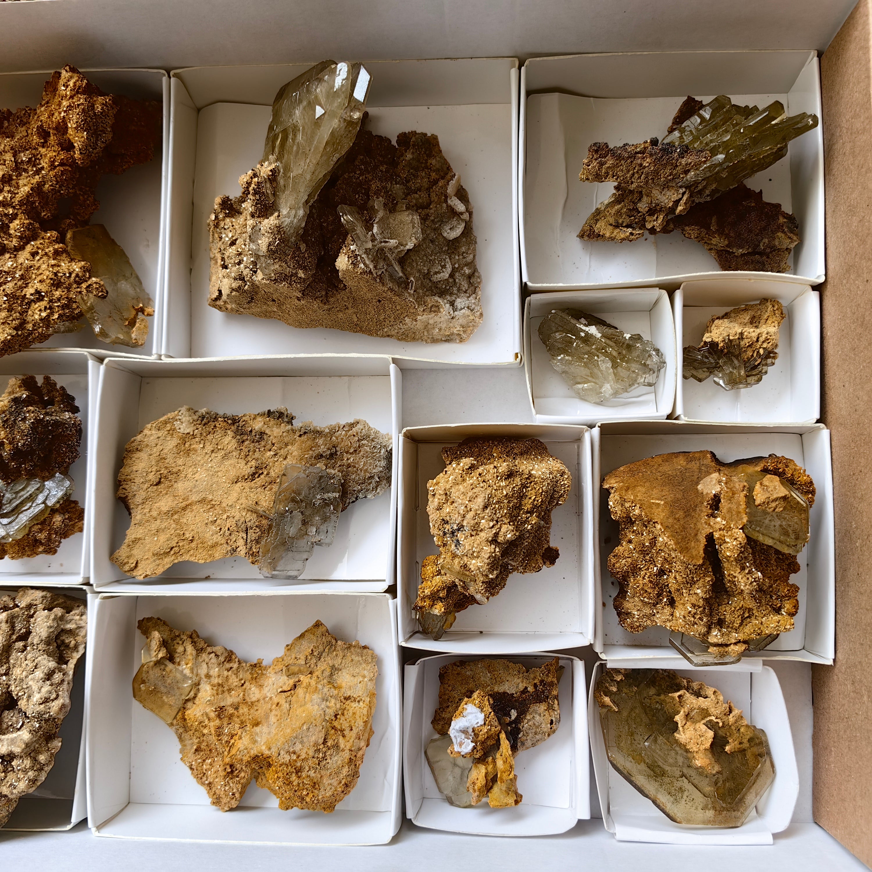 Lot 13 pcs Baryte Crystal on matrix