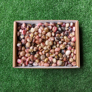 Lot 2 kg Strawberry Pink Opal tumbled