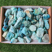 lot 50 pcs Chrysocolla Rough