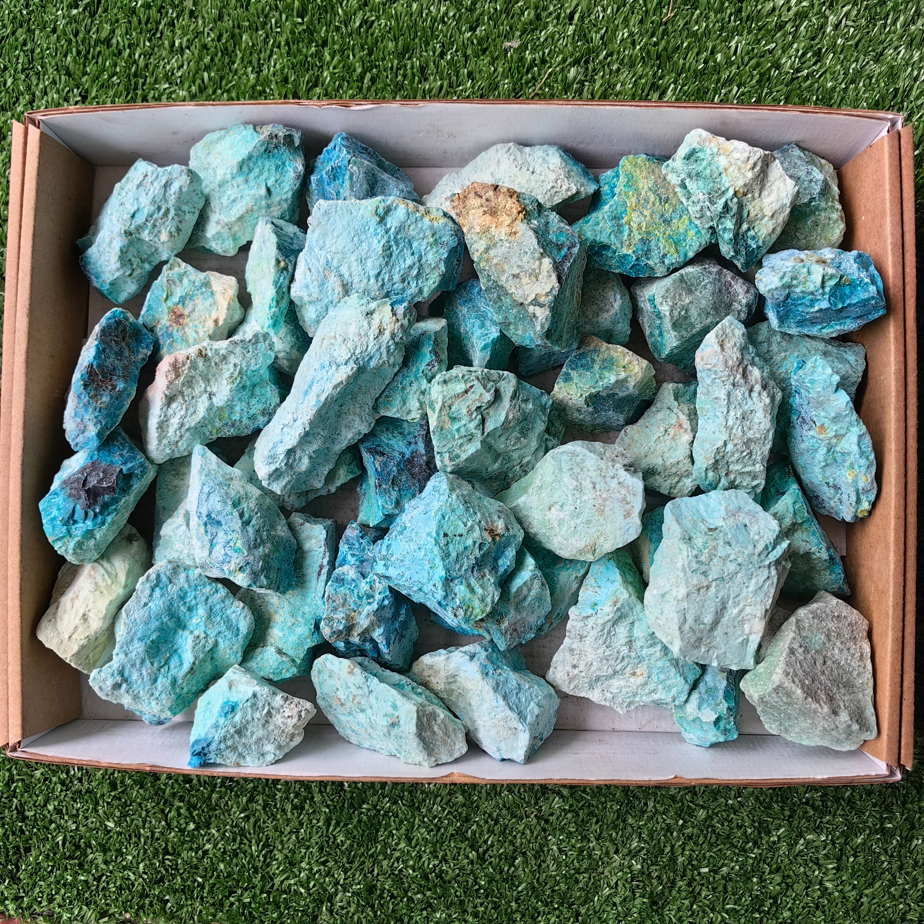 lot 50 pcs Chrysocolla Rough