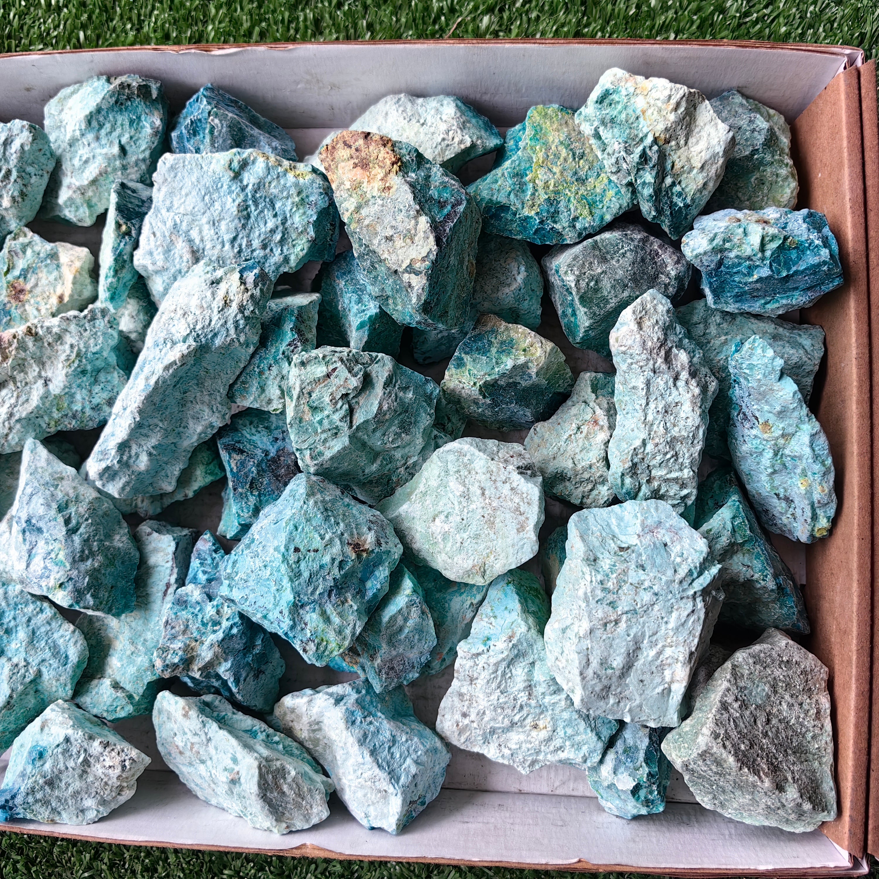 lot 50 pcs Chrysocolla Rough