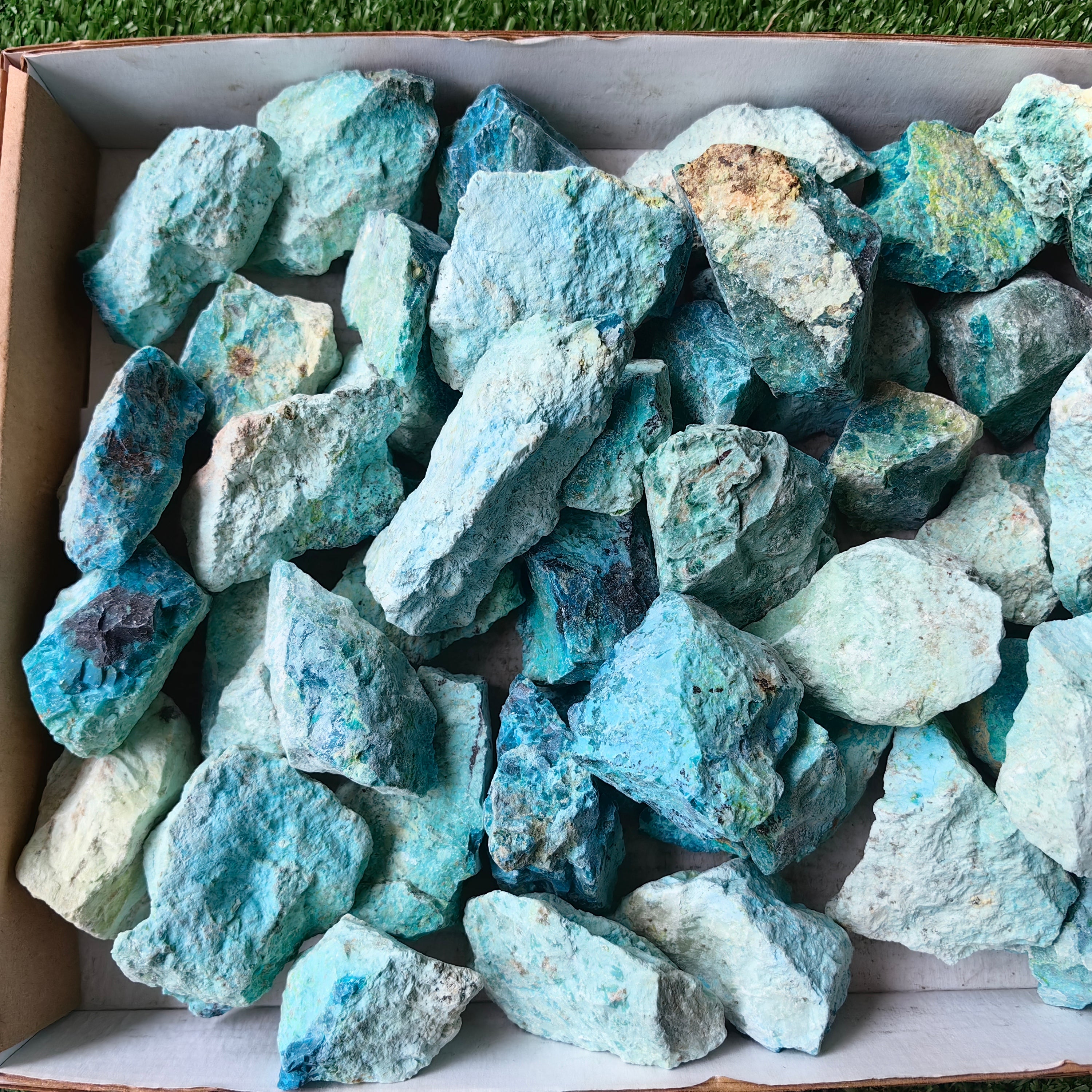 lot 50 pcs Chrysocolla Rough