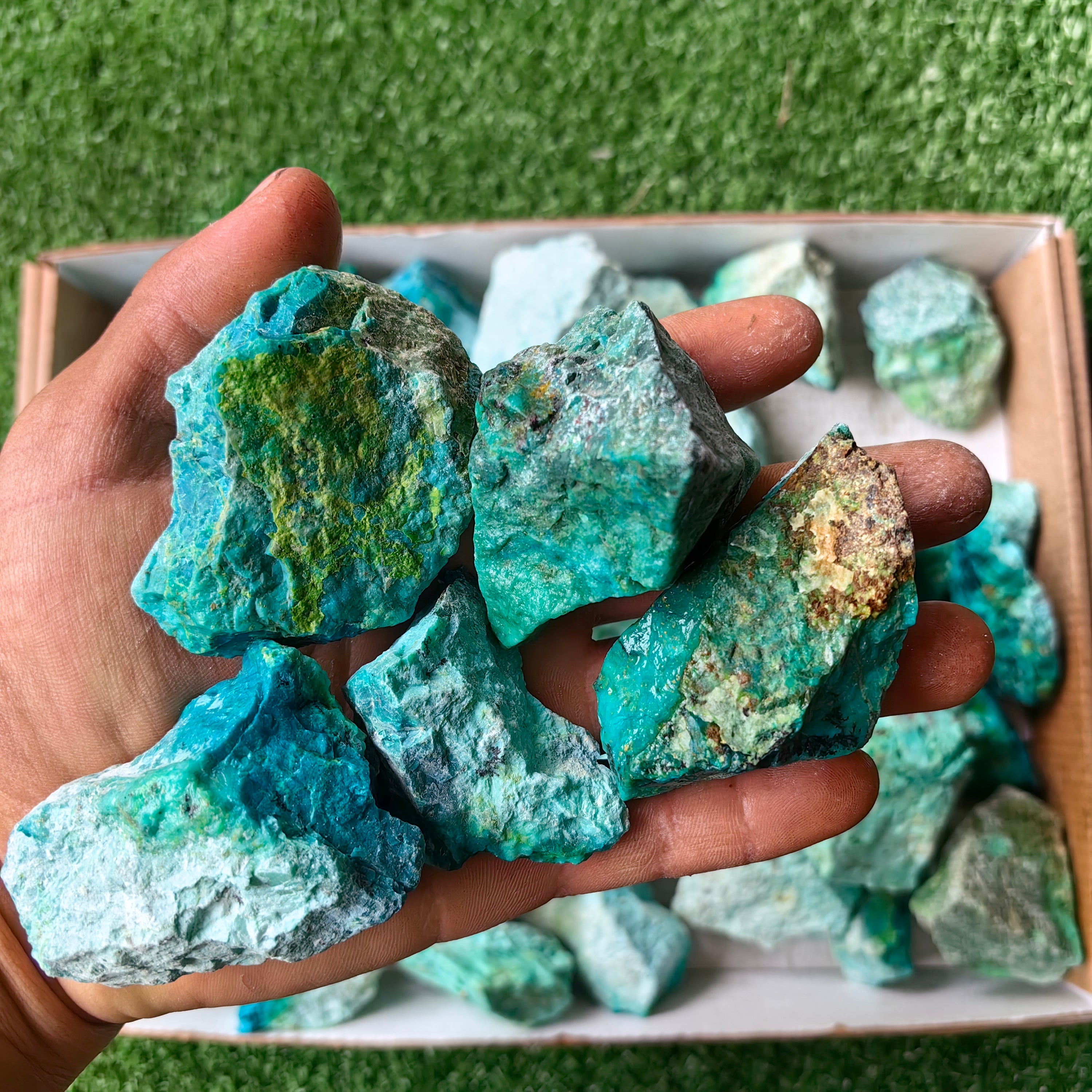 lot 50 pcs Chrysocolla Rough