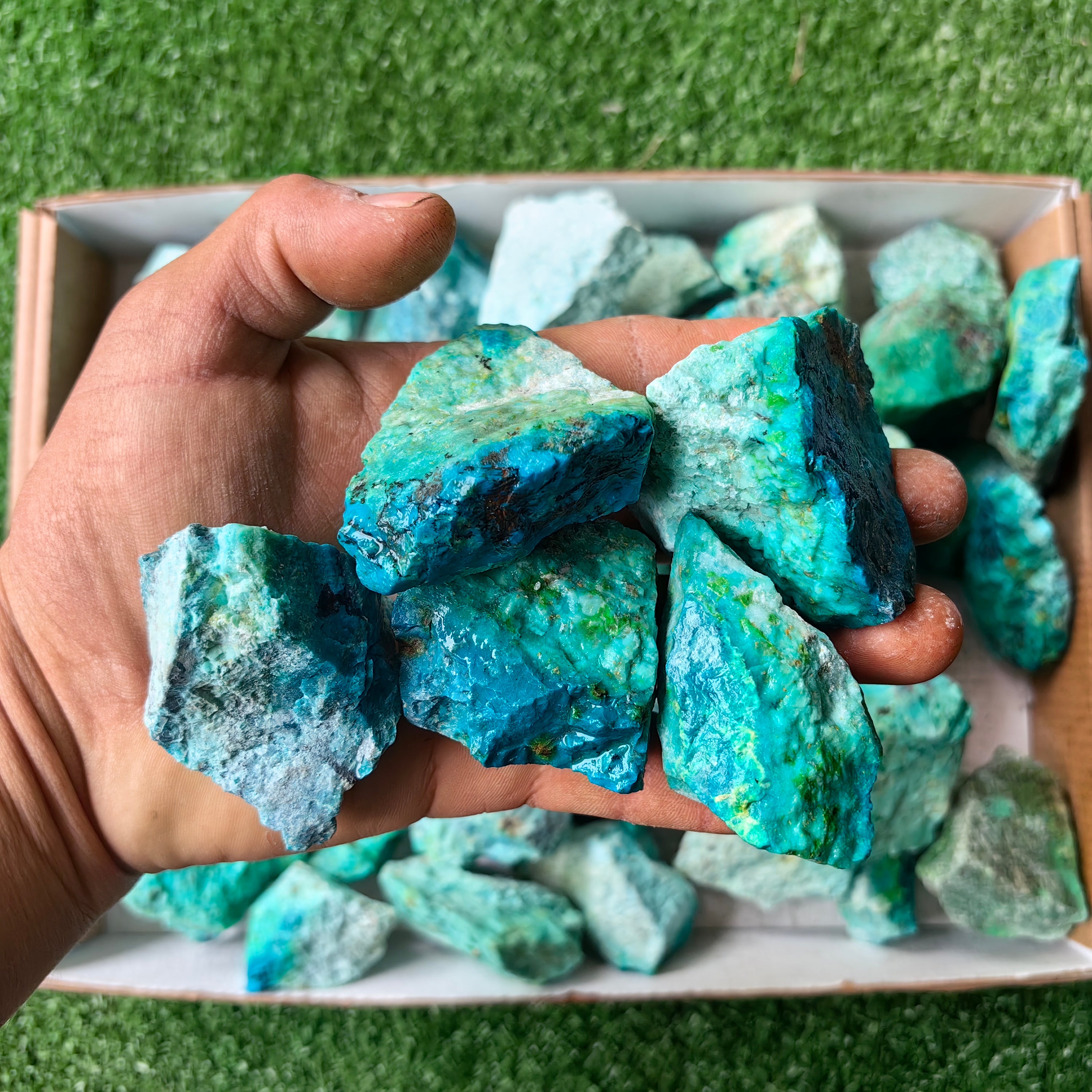 lot 50 pcs Chrysocolla Rough