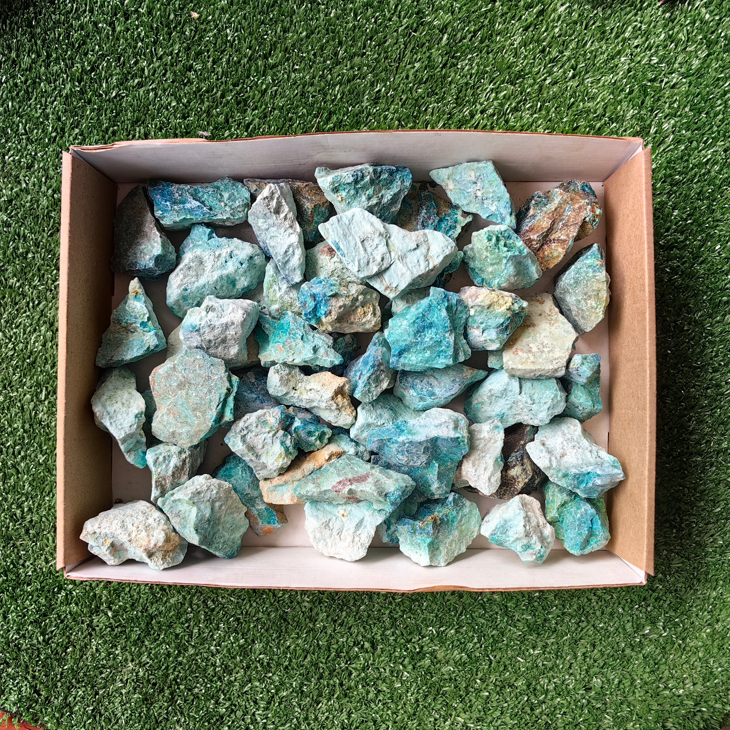lot 50 pcs Chrysocolla Rough
