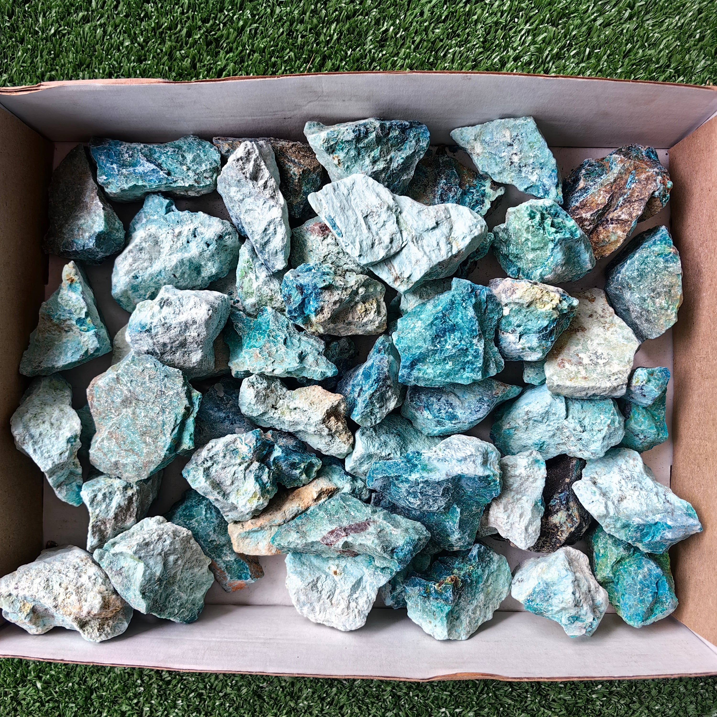 lot 50 pcs Chrysocolla Rough