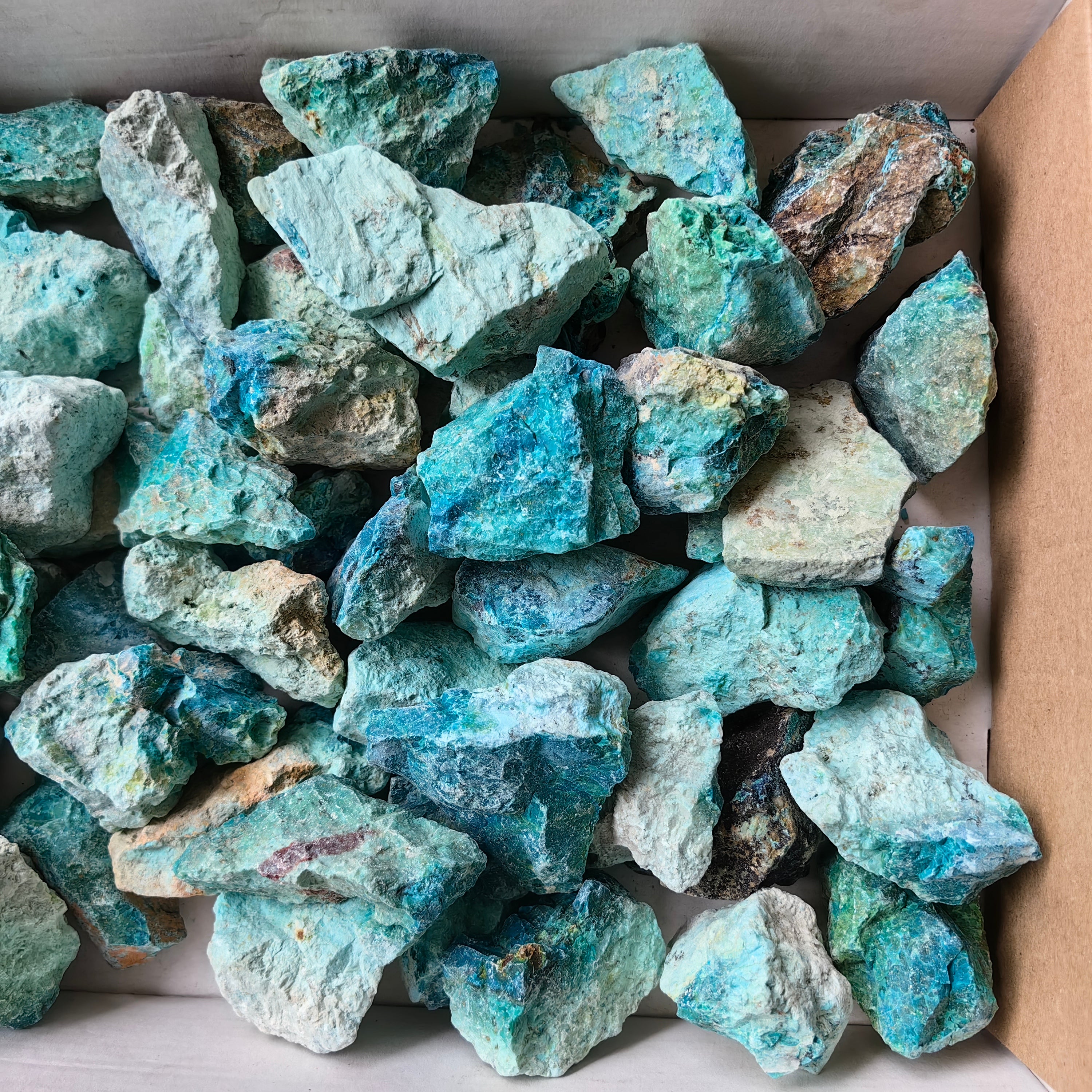 lot 50 pcs Chrysocolla Rough