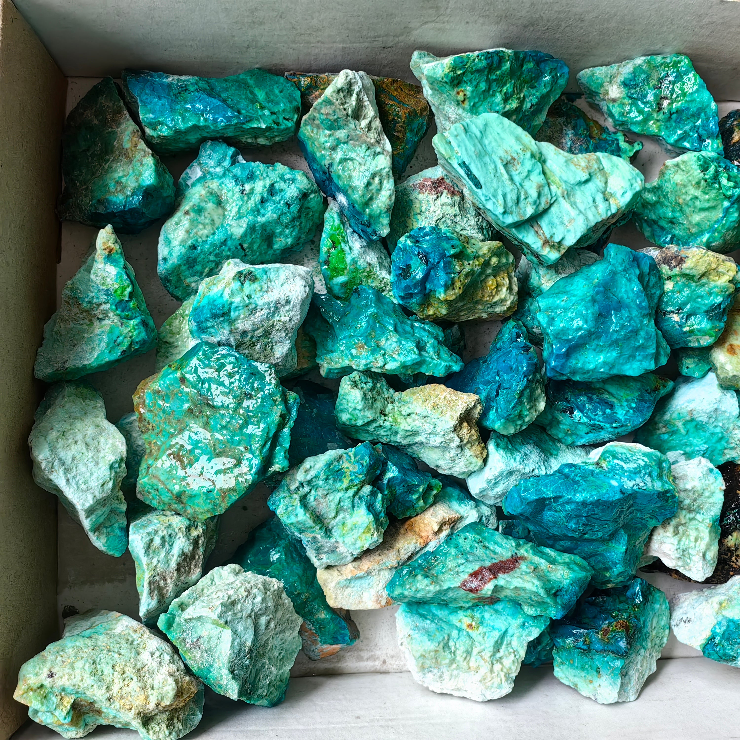 lot 50 pcs Chrysocolla Rough