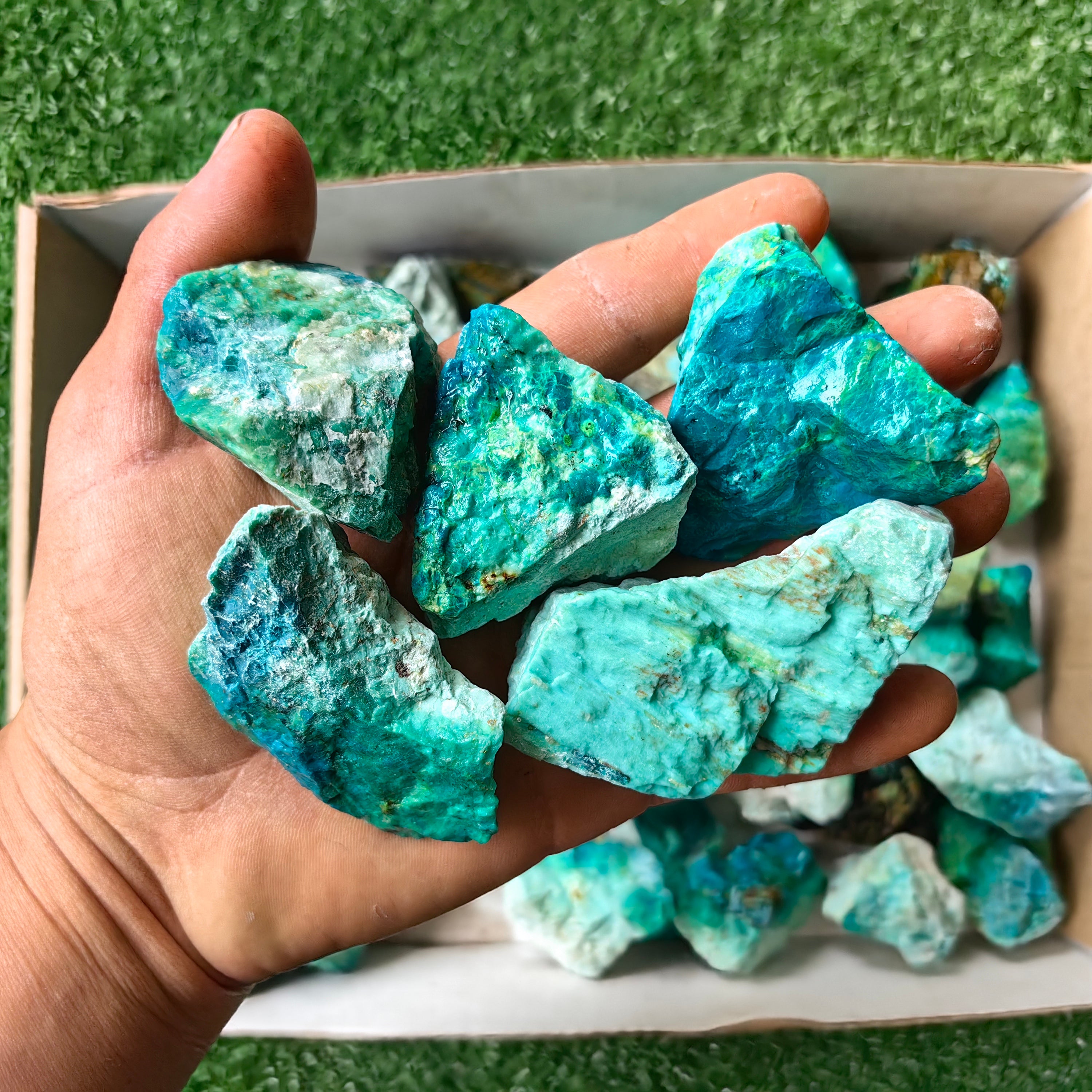 lot 50 pcs Chrysocolla Rough