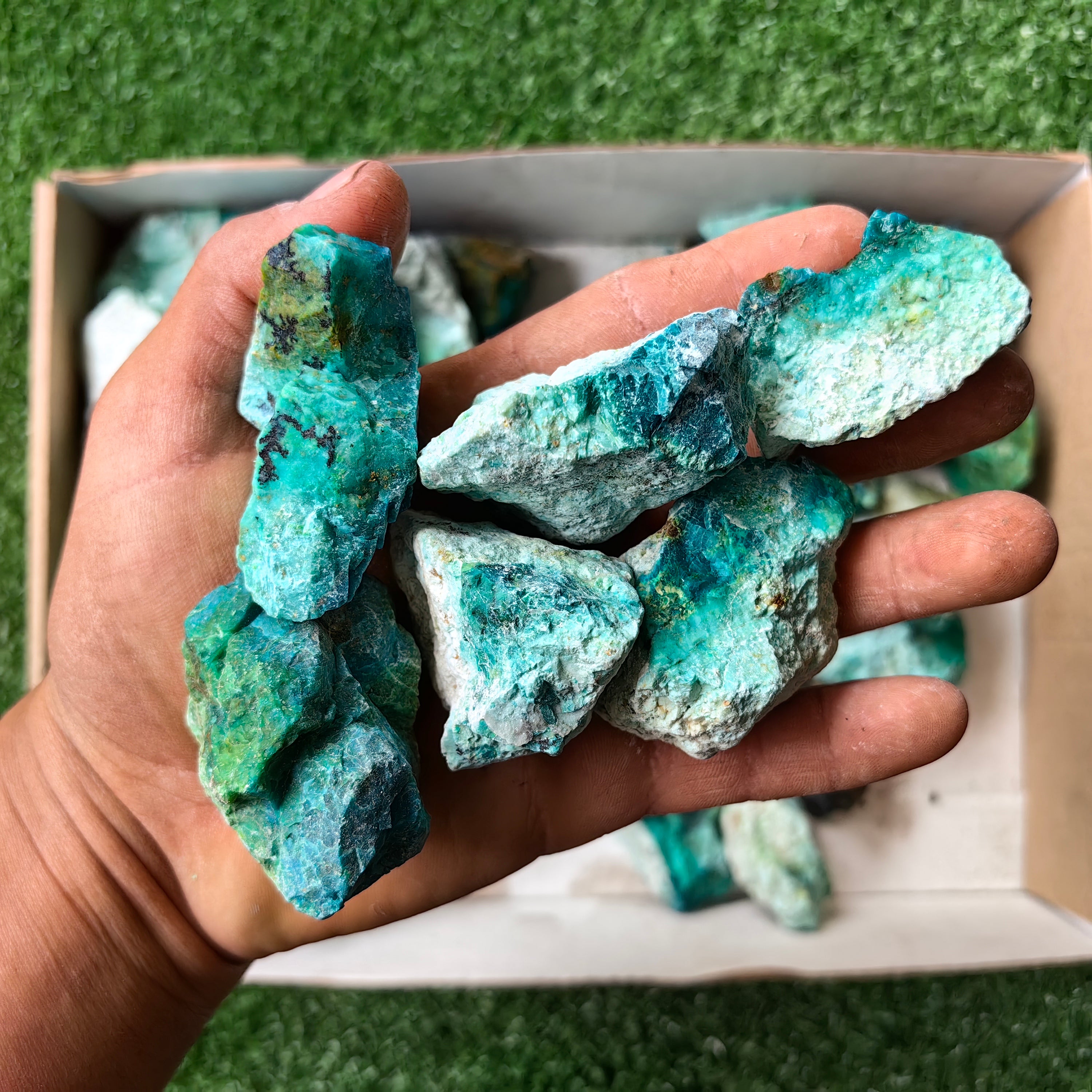 lot 50 pcs Chrysocolla Rough