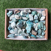 lot 50 pcs Chrysocolla Rough