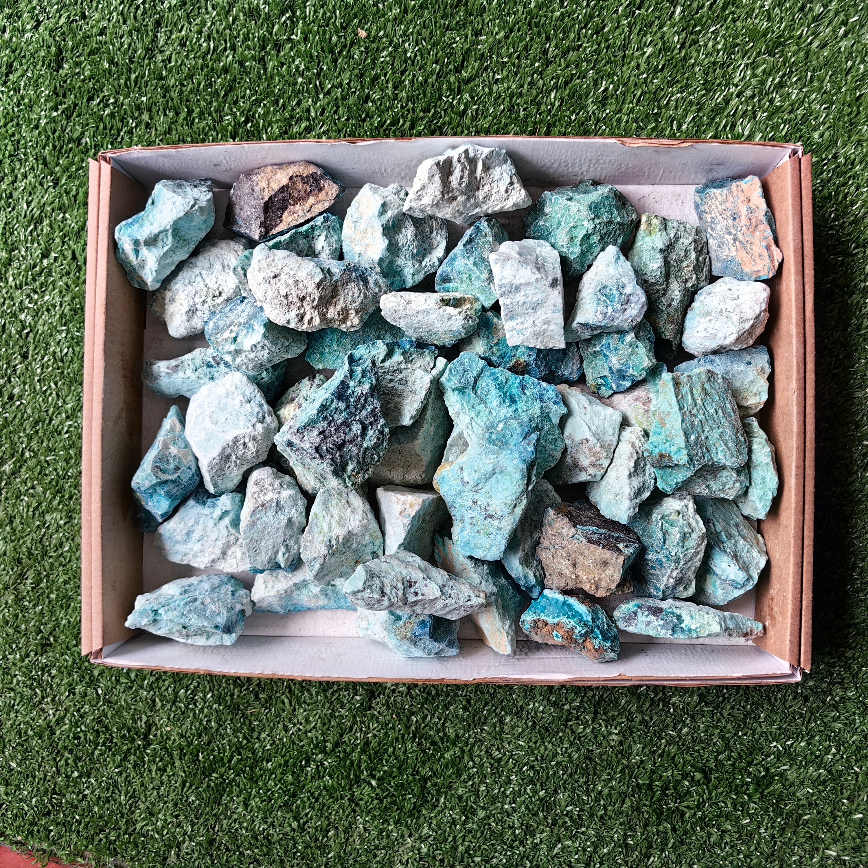 lot 50 pcs Chrysocolla Rough