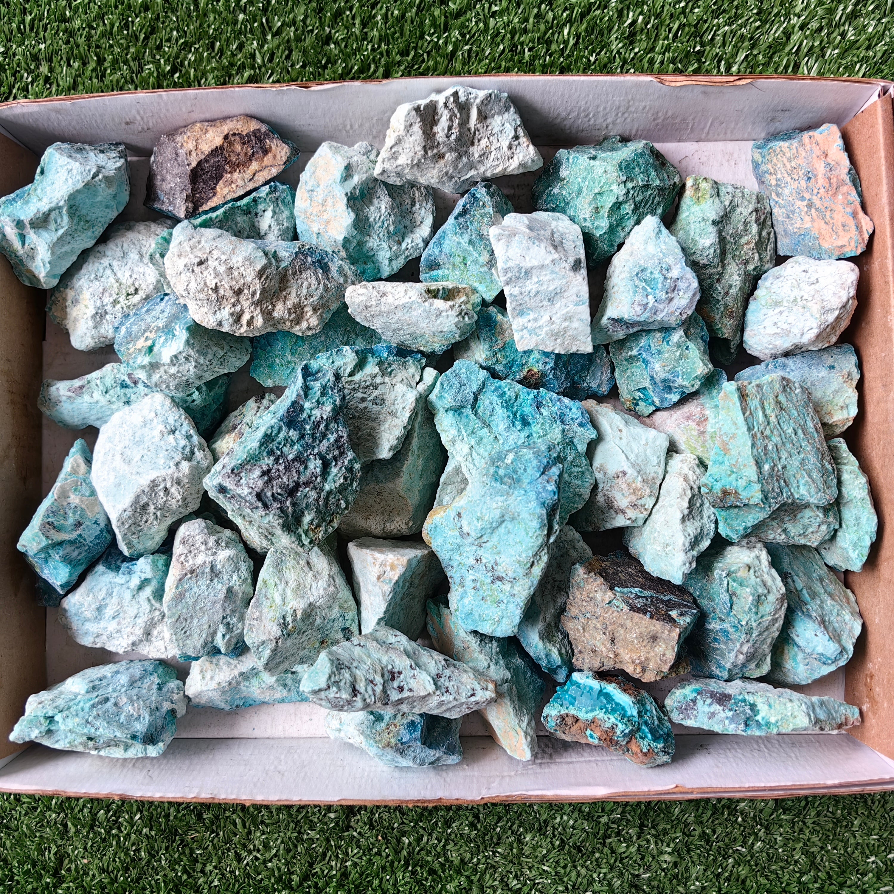 lot 50 pcs Chrysocolla Rough