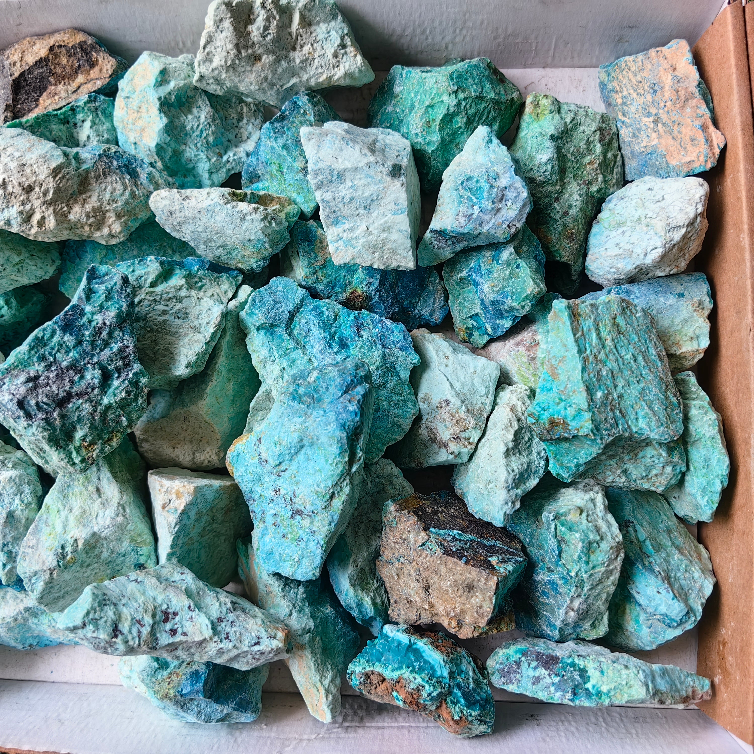 lot 50 pcs Chrysocolla Rough