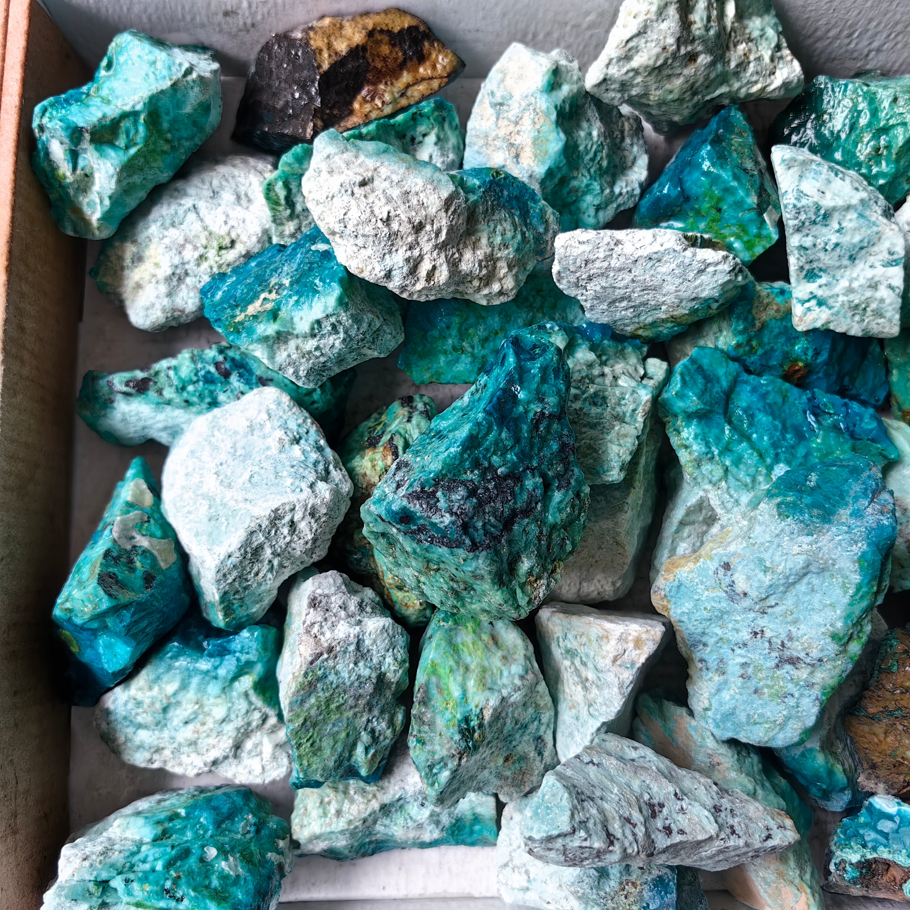 lot 50 pcs Chrysocolla Rough