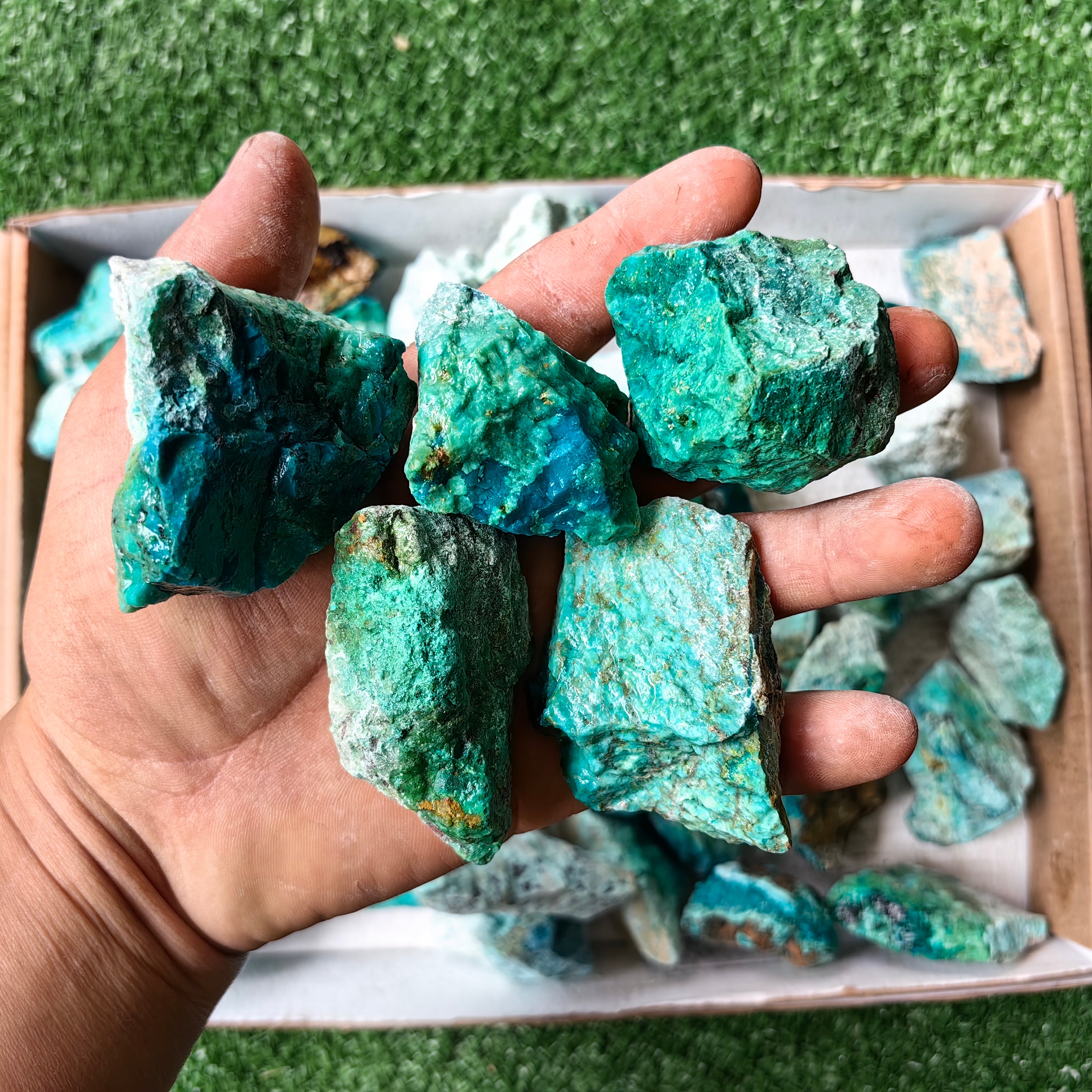 lot 50 pcs Chrysocolla Rough